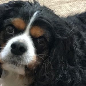 Meet your Posher, Deborah